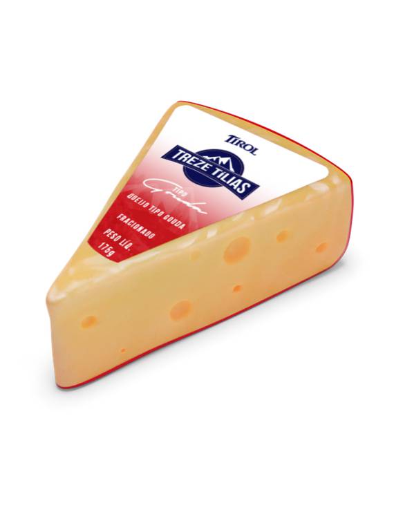 QUEIJO GOUDA TT FRAC 175 G